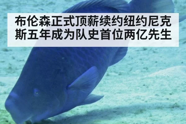 布伦森正式顶薪续约纽约尼克斯五年成为队史首位两亿先生