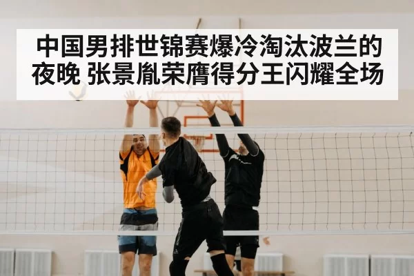 volleyball block