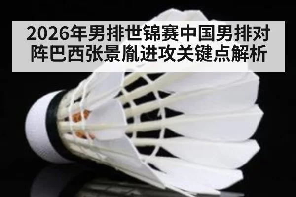 2026年男排世锦赛中国男排对阵巴西张景胤进攻关键点解析